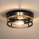 2 Light Industrial Ceiling Light Black Gold Semi Flush Mount Lights Close to Ceiling Light Fixtures,cage design Farmhouse Ceiling Lighting for Kitchen Bedroom Bathroom Foyer Hallway (E26, 1Pack)