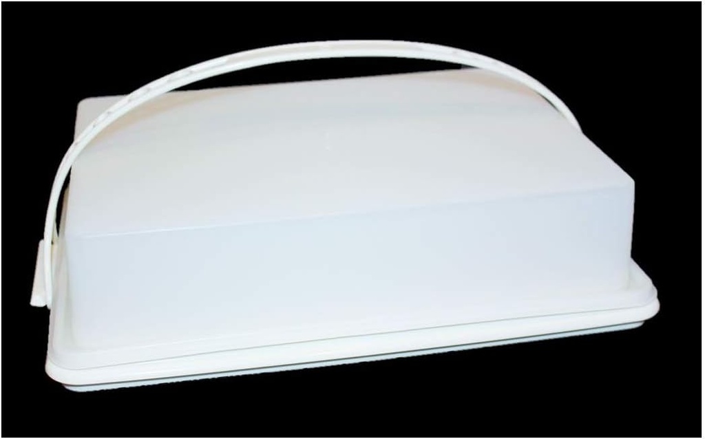 Tupperware Vintage Cake Taker Rectangle Almond Off White