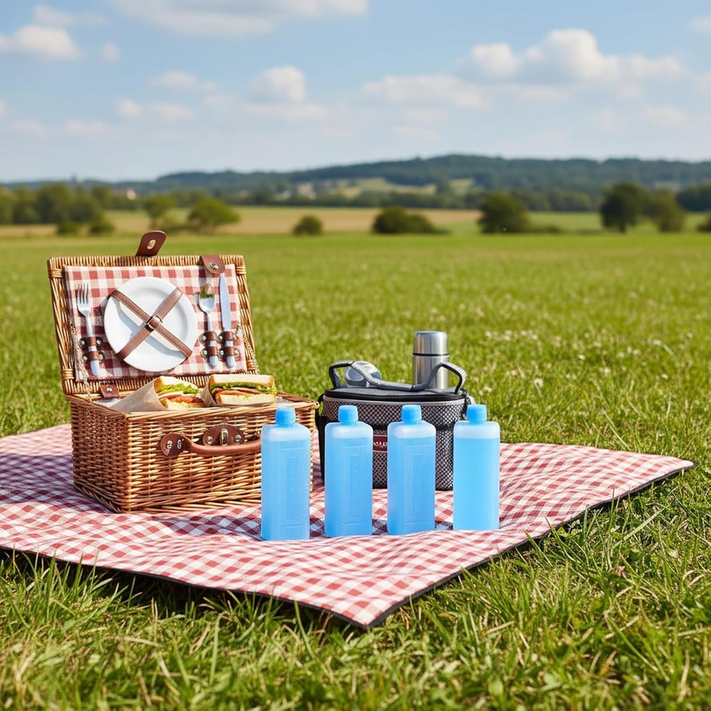 4Pcs Reusable Freezer Ice Packs for Coolers | Long-Lasting Cooling Ice Blocks for Lunch Boxes,Camping, Fishing, and Air Conditioner Fans,4.52 x 1.57 x 1.18 Inches (Blue)