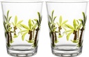Supreme Housewares Palm Tree DOF Tumblers, Stackable BPA-Free Acrylic Cups with Embossed Palm Tree Design, Reusable Drinkware for Water, Cold Drink or Cocktails, Green, 16 oz, Set of 2