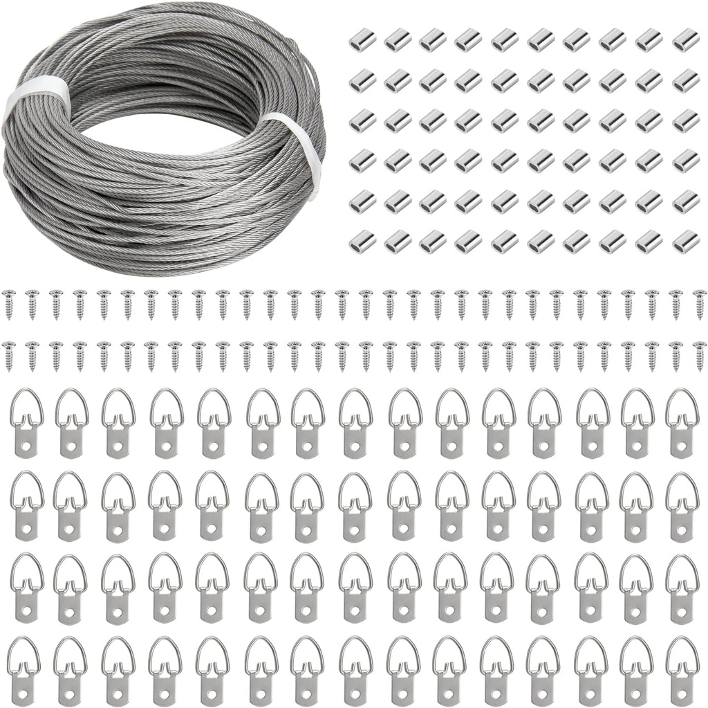 Blisstime Picture Hanging Kit - 100 Feet Braided Hanging Wire, 60 Pcs D Ring Picture Hangers with Screws and 60 Pcs Aluminum Crimping Loop Sleeve for Canvas Paintings, Photo Frames