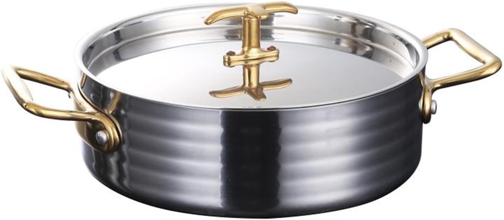 Chinese Hot Pot,Shabu Pot Hot Pot,Stockpot,304 Stainless Steel Shabu Shabu Pot, Soup Pot Seafood Pot Stew Pot with Lid and Handle for Induction Cooktop, Gas Stove & Electric Stove(20cm)