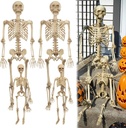 Posable Life Size Human Skeleton Family 4pk- 2 Adult (5'4") & 2 Children (2')- Halloween Prop Indoor Outdoor Decorations w Bending Articulated Bones