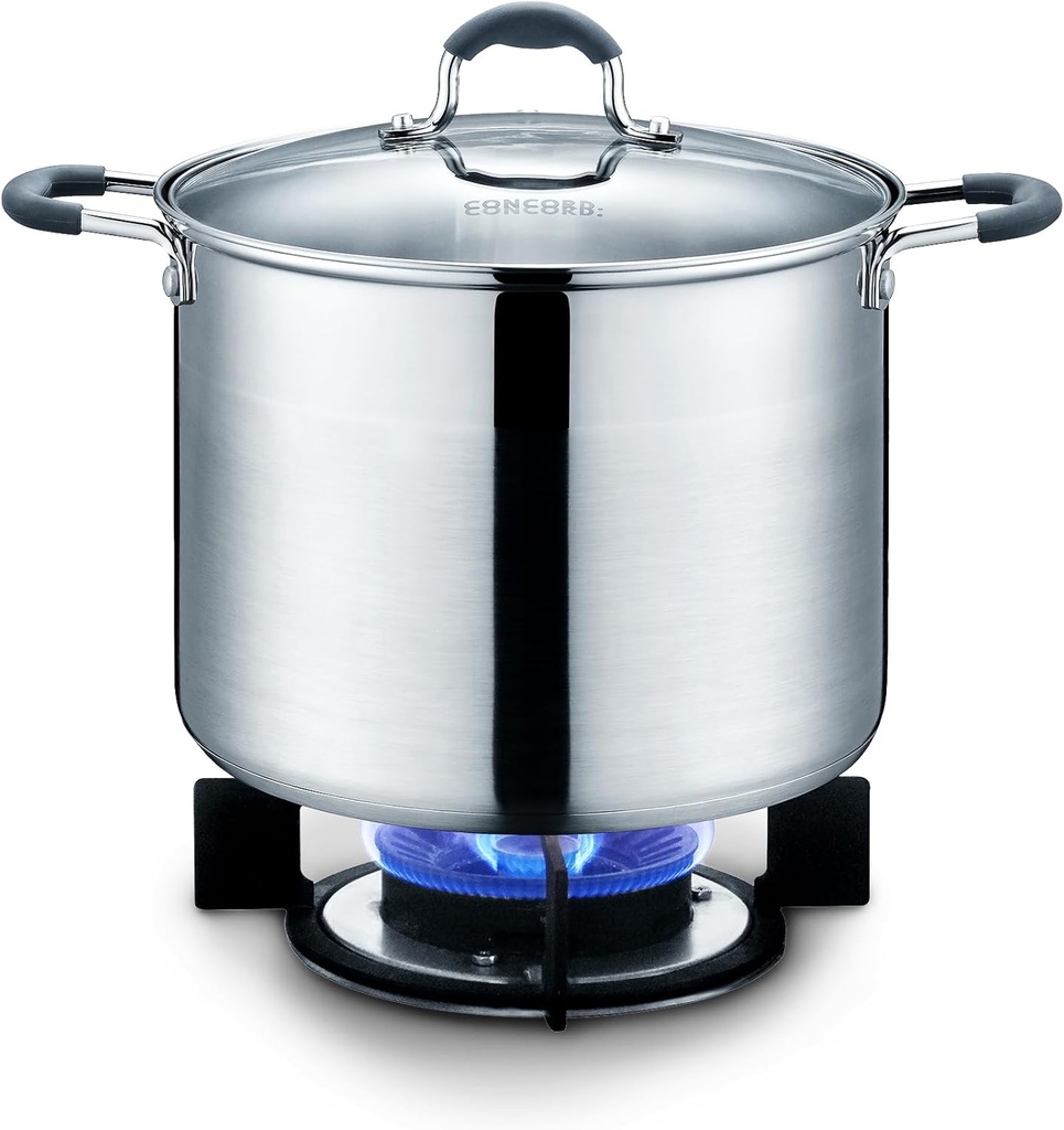 CONCORD Stainless Steel Stock Pot with Glass Lid (Induction Compatible) ((7 QT)
