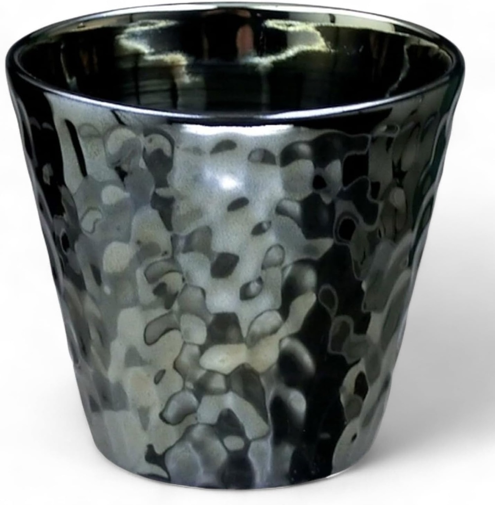 J-kitchens Select Tumbler, Lock Cup, Light Changing Black Raster, 10.1 fl oz (300 ml), Dishwasher Safe, Microwave Safe, Made in Japan