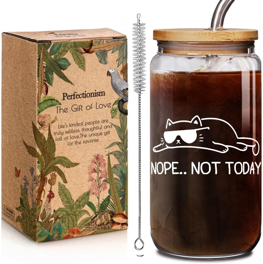 Funny Animal Nope Not Today Cat Glass Cup Gifts for Coworker Cats Mom Her, Perfect Gifts for Cat Mom or Friends, Cats Lover Birthday Gift 16oz Galss Drinking Cup with Lids & Straws