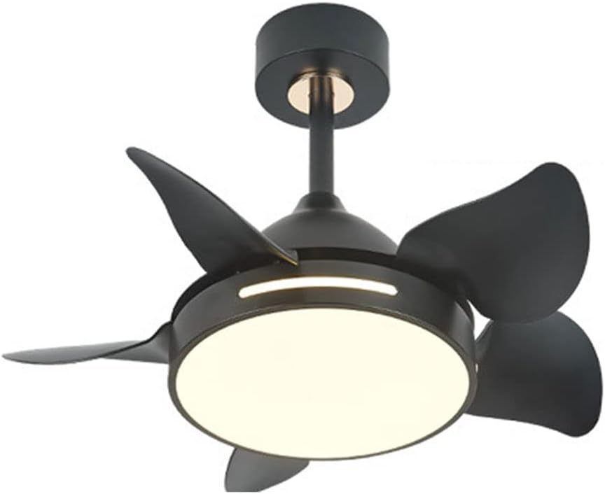 Smart Ceiling Fans with Lights and Remote Frequency Conversion 26 Inch Fan Light Mute Ceiling Fan for Bedroom Modern Low Profile Ceiling Fan for Living Room, Kids Room