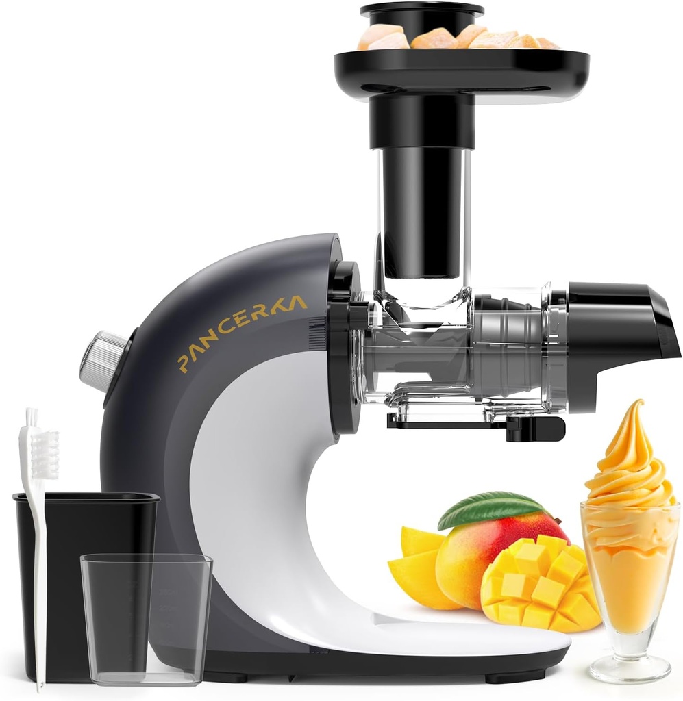 Frozen Fruit Sorbet Maker - Soft Ice Cream Maker for Healthy Vegetarian and Dairy Free Snacks, Easy to Clean (Silver Gray - Sorbet Maker)