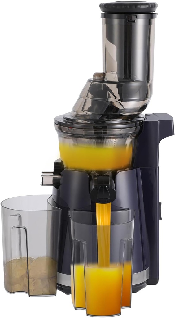 Cold Press Juicer, 250W Masticating Juicer Machine, Dual-port Juice Separation Structure, High Juice Yield, Electric Juicer for Whole Fruits Vegetables, Easy to Clean with Brush