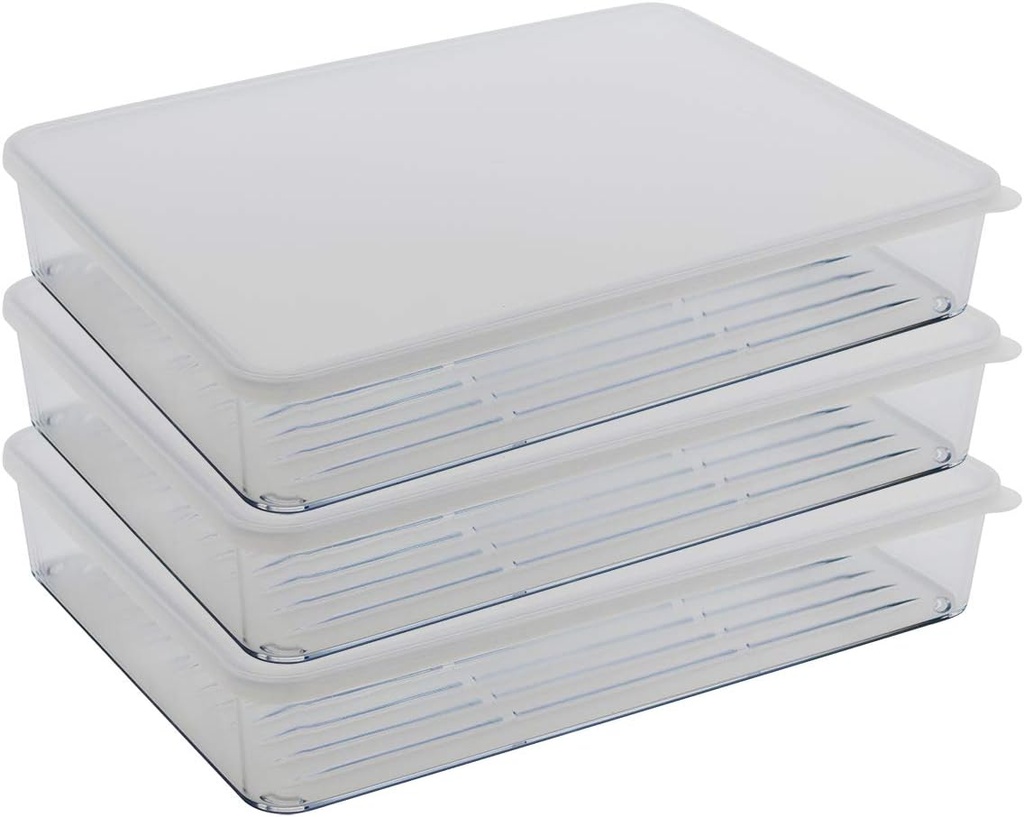 Silicook Flat Plastic Box for Kitchen for Kitchen&Refrigerator Organization, Transparent Food Storage Container for Kitchen, Fridge, Freezer (5 x 600ml)