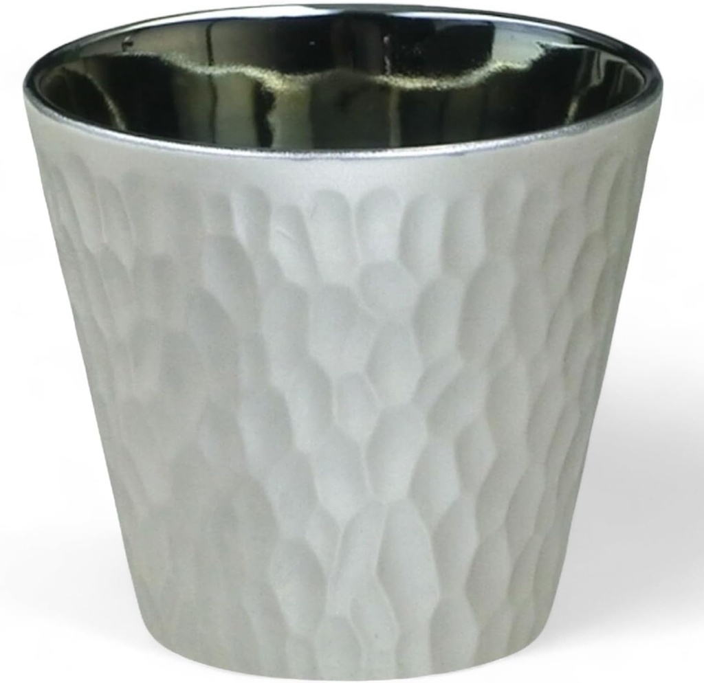 J-kitchens Cup, Lock Cup, Light Changing, Silver, 10.1 fl oz (300 ml), Dishwasher Safe, Microwave Safe, Made in Japan