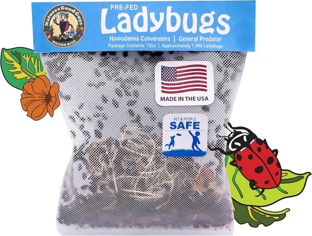 Natures Good Guys 1500 Live Ladybugs - Good Bugs- Ladybugs - Guaranteed Live Delivery!
