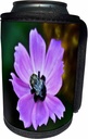 3dRose Can Cooler Bottle Wrap, 10.5" by 4.5", Purple Flowers Serves as Bumble Bees Pillow