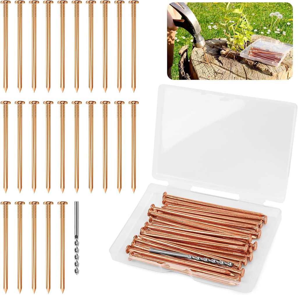 25 pcs Copper Nails for Killing Trees Stump Root, 3.15" Copper Nails with Drill, Stump Removal Spikes Hardware Nails for Trees