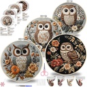 QBQBQ Owl Embroidery Kit - 8.2in, Owl Punch Needle Kit for Adults, Cross Stitch Kits for Beginners, Include Embroidery Cloth Bamboo Hoops and Step by Step Instructions, for Craft Lover Hand Stitch