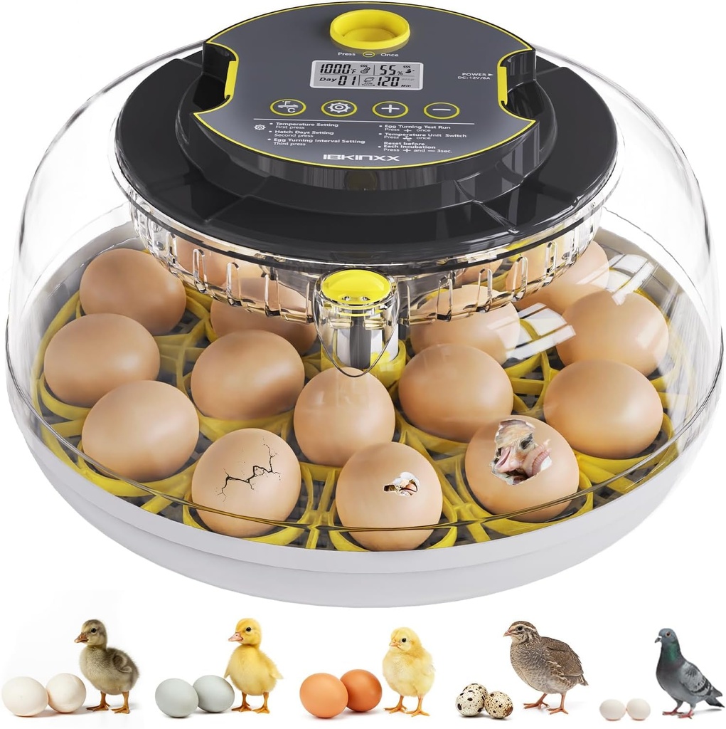 Incubator for Hatching Eggs-18 Egg Capacity, Automatic Egg Turner, Temperature & Humidity Control, 360° Viewing for Chicken, Duck and Quail Eggs