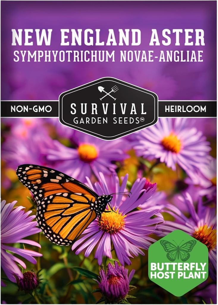 Survival Garden Seeds - New England Aster Seeds for Planting | Native Purple Perennial Wildflower | Butterfly Magnet | 1 Pack