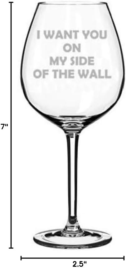 Wine Glass Goblet I Want You On My Side Of The Wall Funny Friend Boyfriend Girlfriend (20 oz Jumbo)