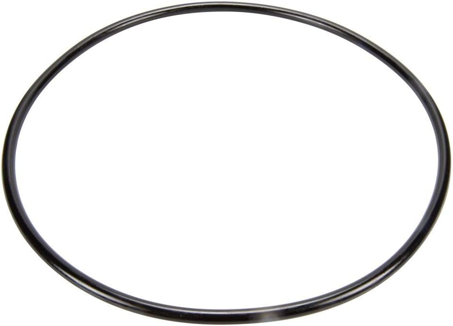Pentair 87300400 Body O-Ring