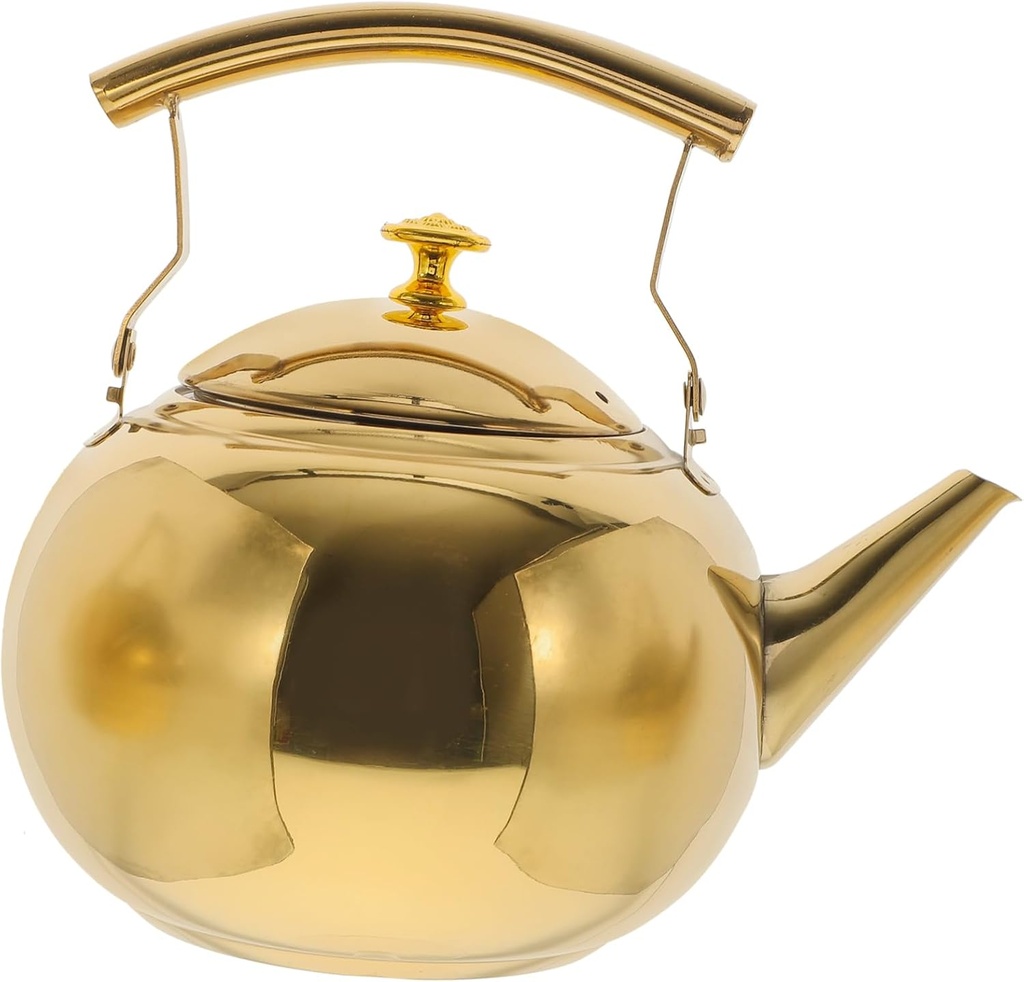 BESTOYARD Stainless Steel Tea Kettle with Strainer Capacity Boiling Teapot for Induction Electric Gas Stoves Elegant Design for Quick Hot Beverages Kitchen Accessory