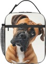 Insulated Lunch Box for Women Men, Boxer Dog Theme Lunch Box Reusable Portable Lunch Bag Cooler Tote Waterproof Lunch Container for Office Picnic Work Travel Hiking