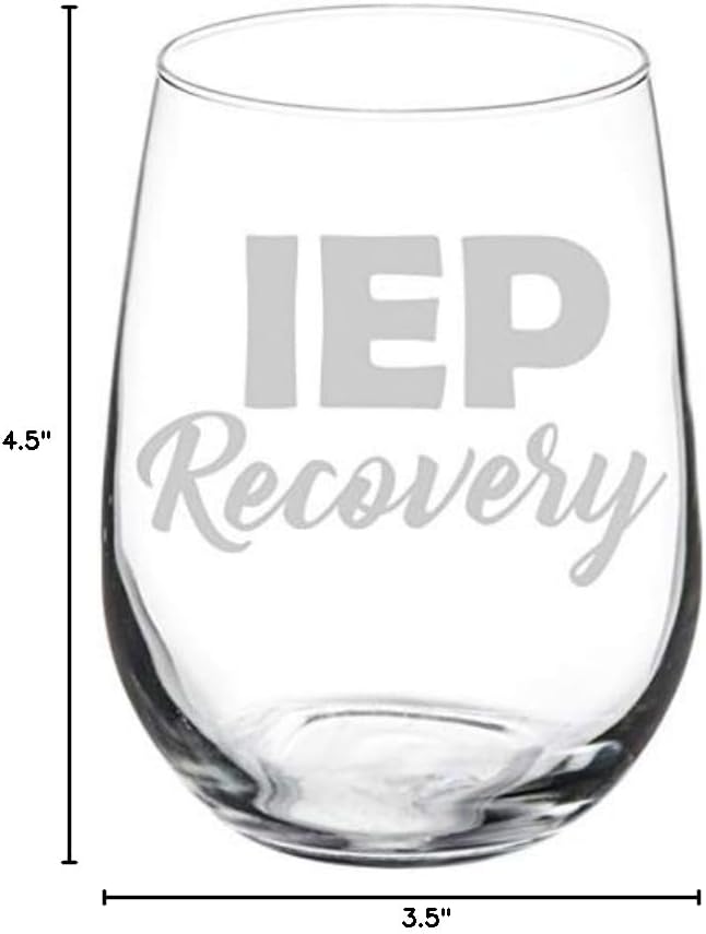 MIP Brand Wine Glass Goblet Special Education Teacher IEP Recovery (17 oz Stemless)