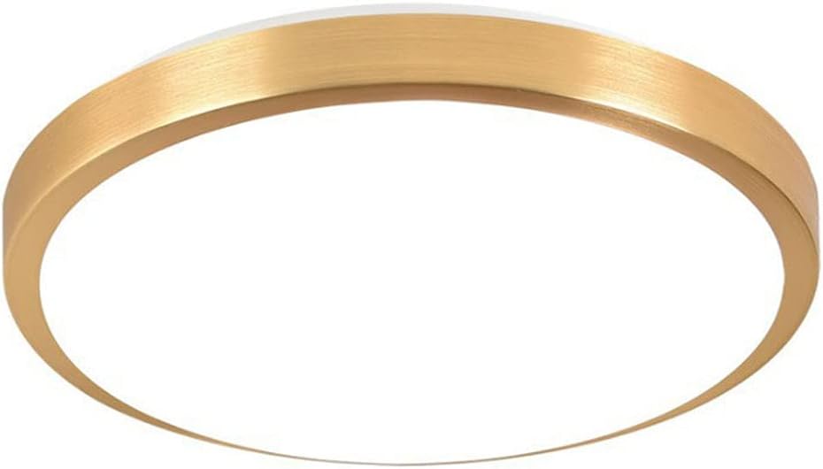 Gold LED Ceiling Light Modern 24W Flush Mount Light Fixture, Minimalist Round Lighting Fixtures Ceiling 6000K Acrylic Metal Circle Ceiling Lamp for Bedroom Living Dining Room Kitchen