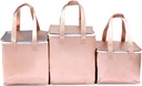 2Pack 13.8×13.8×15.8" Same Size Reusable Insulated Zipper Aluminum Foil Tote Bag Suit for Picnic Cake Fruit Drink Refrigeration Also for Delivery of Takeaway Thermal Pizza Insulated Delivery(ROSE Gold