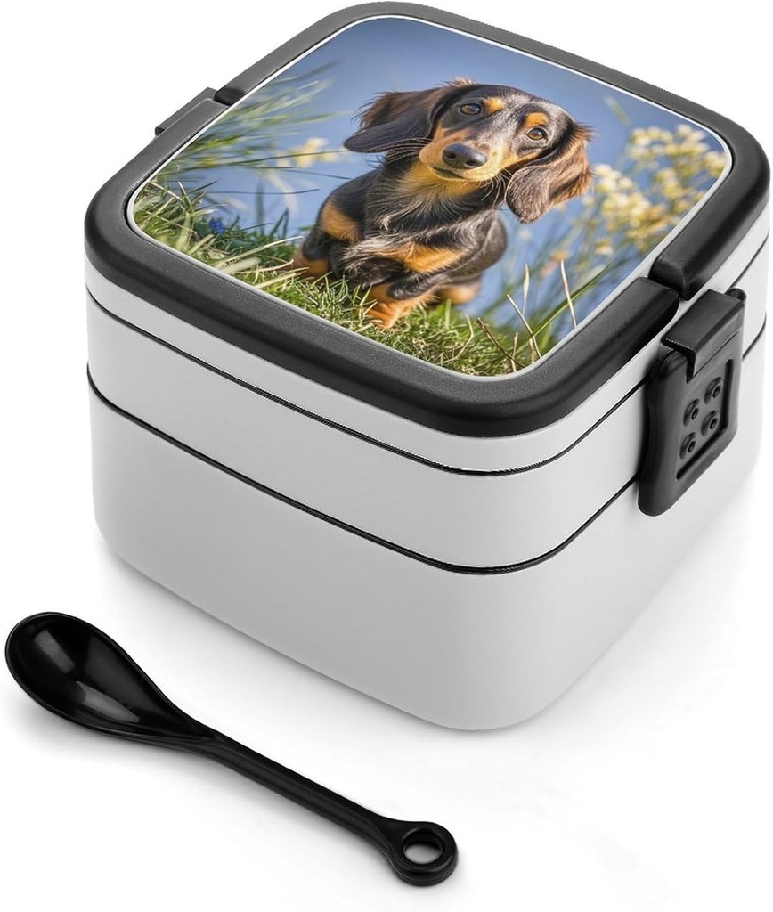 Pad Dachshund Bento Box Double-Layer Bento Lunch Container with Spoon And Invisible Handle Adult Leak-Proof Lunchbox for Dining Out Work Picnics Travel