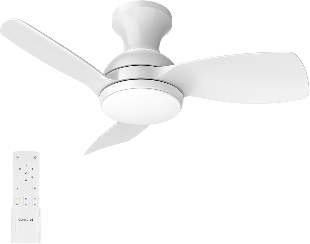 Consciot Ceiling Fans With Lights, 30 Inch Ceiling Fan Remote Control, Modern Ceiling Fan, Flush Mount, for Bedroom, Dimmable, Small Ceiling Fans, Noiseless