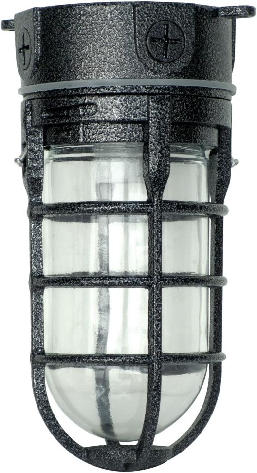 Woods L1706BLK Vandal Resistant 150W Incandescent Security Light, Ceiling Mount, Hammered Black