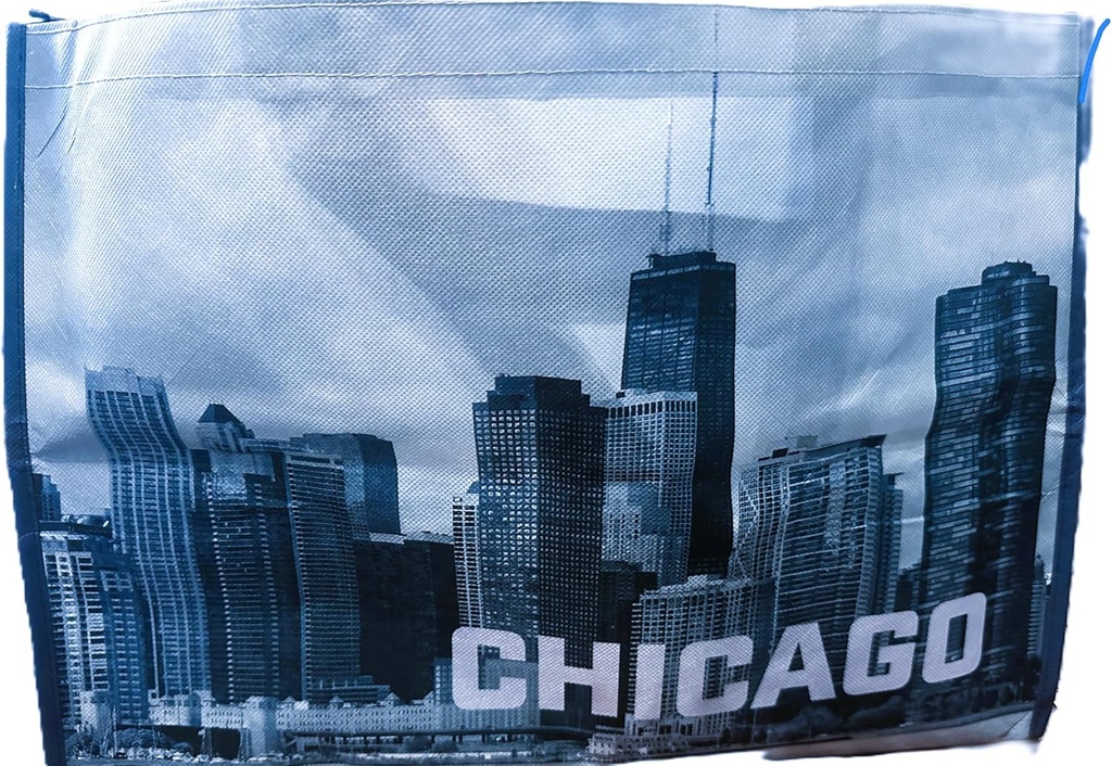 Chicago Skyline Printed Reusable Bag (New) Large 2 Pack Bag, 21/L x 11/W x14/H inches, Blue (Straps 16 inches)