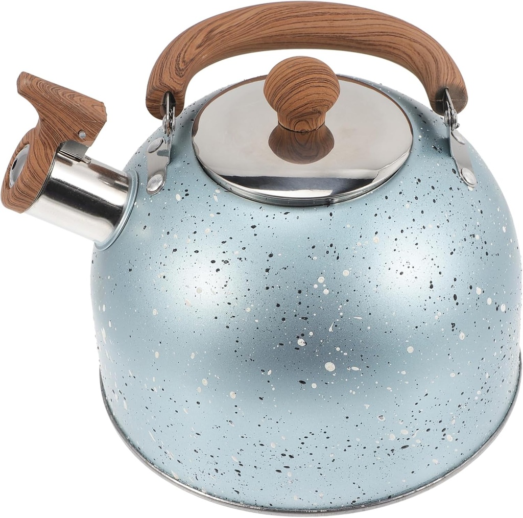 Pot Sounding Kettle Electric Hot Water Pot Stainless Steel Kettle Insulated Handle