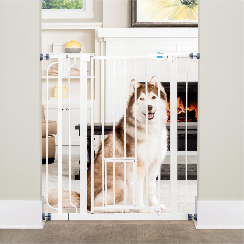 Carlson Extra Tall Walk Through Pet Gate with Small Pet Door, Includes 4-Inch Extension Kit, 4 Pack Pressure Mount Kit and 4 Pack Wall Mount Kit
