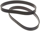 BISSELL Style 7/9/10/12/16 Replacement Vacuum Belts, New Genuine OEM Replacement Belts, 2 Count, Model 32074