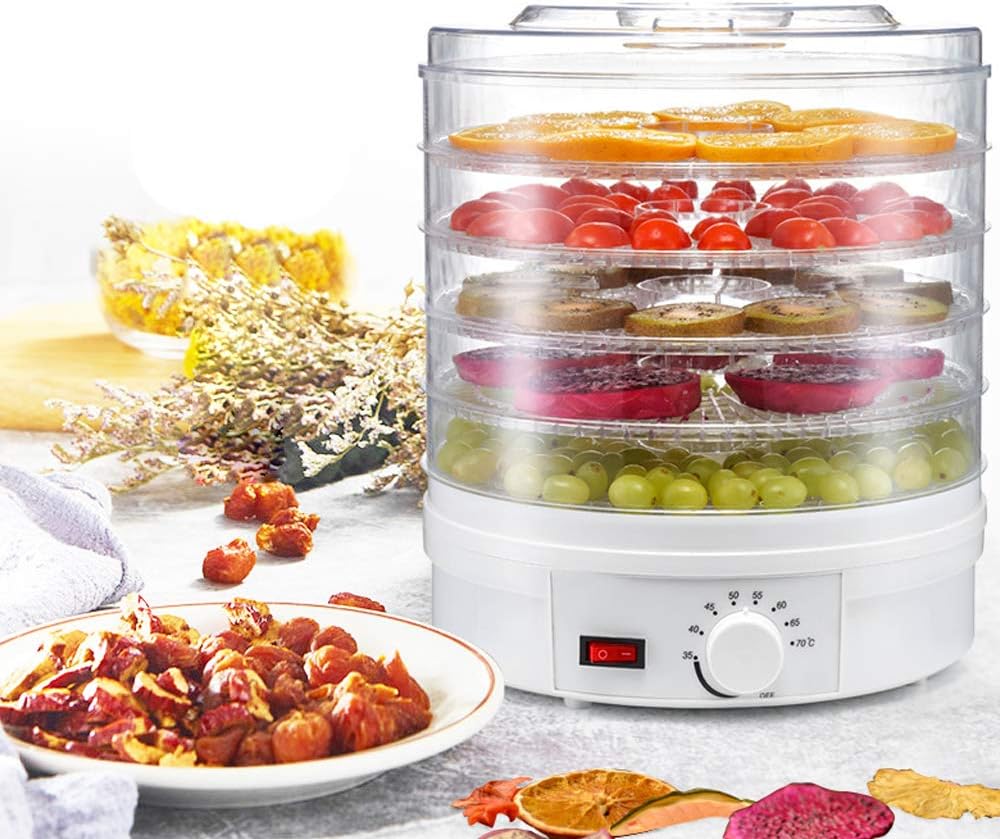 110V AnEssOil Food Dehydrator Snacks Dehydration Dryer Fruit Vegetable Herb Meat Drying Machine Stainless Steel