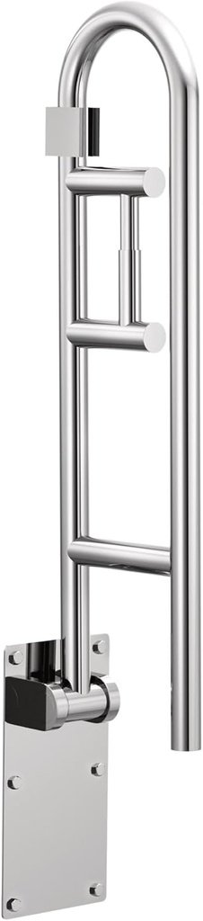 Moen Home Care Bathroom Safety 30 Inch Stainless Steel Flip Up Bathroom HandicapGrab Bar with Toilet Paper Holder, Elderly Assistance Product, R8962FD