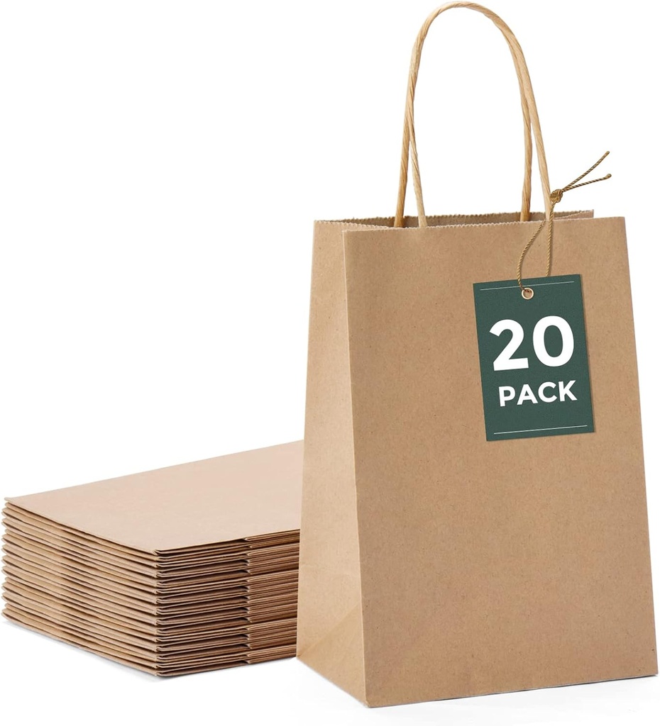 GSSUSA Brown Paper Bags 5.25x3.75x8 20Pcs, Small Gift Paper Bag with Handles Bulk, Graduation Gift, Sturdy Kraft Paper, Retail Shopping Bags, Party Favor, Christmas
