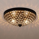 Modern Black Flush Mount Crystal Ceiling Light,2-Light Crystal Chandelier Ceiling Lighting for Bedroom Living Room Closet Kitchen,Hallway Light Fixtures with Sparkling Crystal Metal Shade