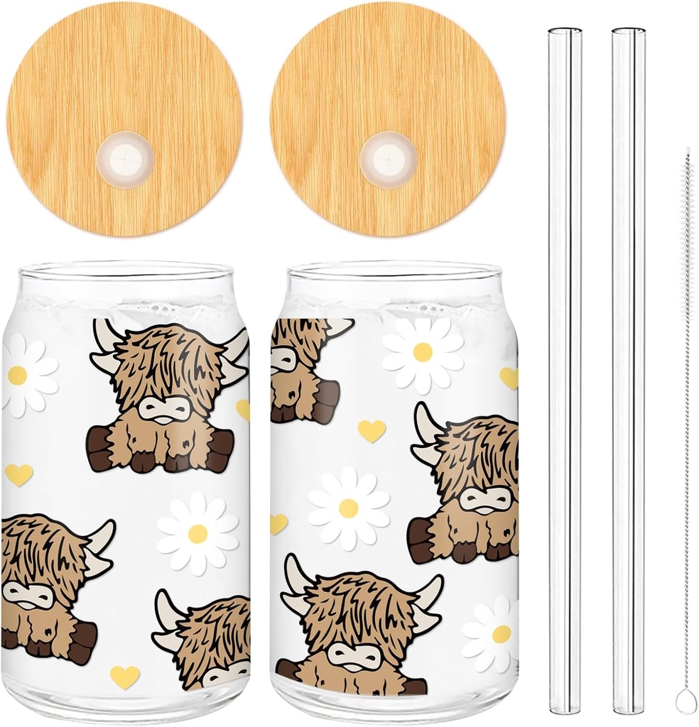 Whaline 2Pcs Highland Cow Iced Coffee Cup Brown Cow Daisy Heart Drinking Glasses 16oz Cute Glass Cup with Lids and Straw for Cocktails Whiskey Beer Soda Gifts