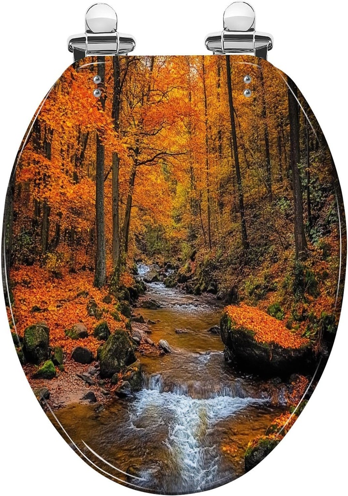 Elongated Toilet Seat Stream foggy Forest autumn Nationalpark Harz Resin Toilet Seat Slow Quiet Close Lid with Quick-Release Hinges Cover Bumpers Easy to Clean Install