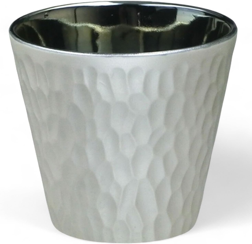 J-kitchens Select Highball Glass, Rock Cup, Light Changing Silver, 10.1 fl oz (300 ml), Dishwasher Safe, Microwave Safe, Made in Japan