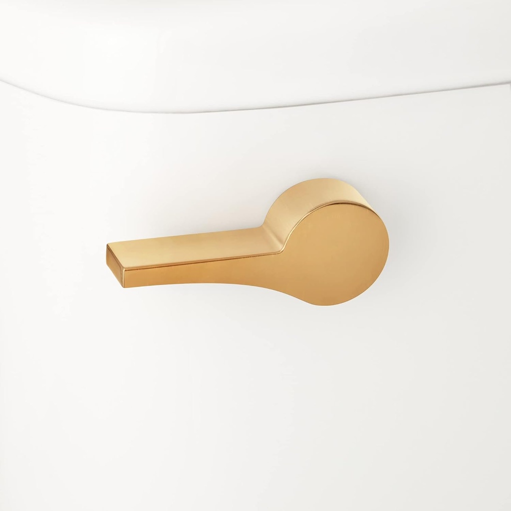 Signature Hardware 484644 Bradenton Toilet Tank Lever - Brushed Gold