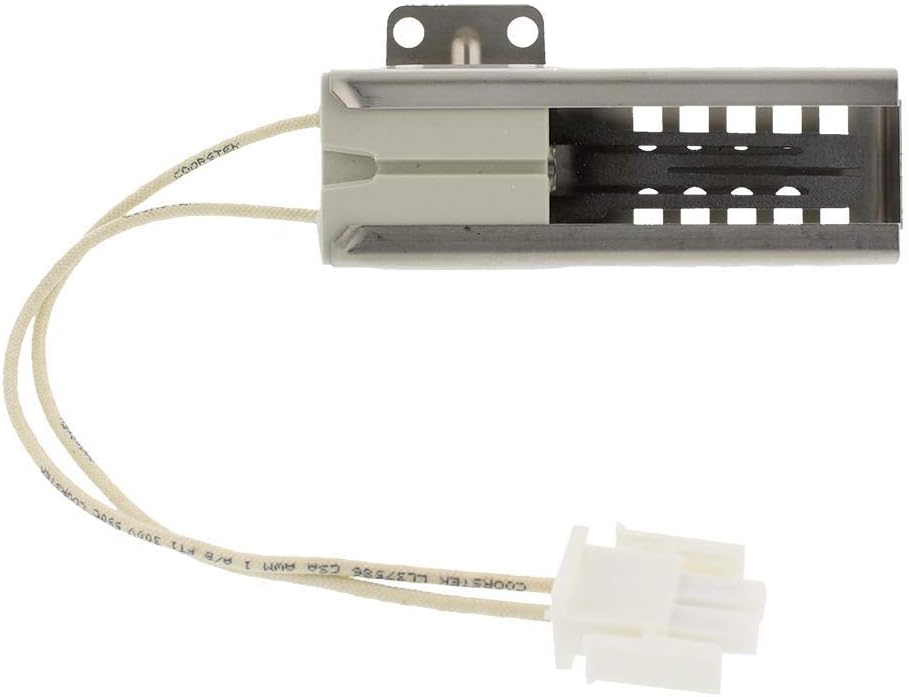 ERP DG94-00520A Range Igniter
