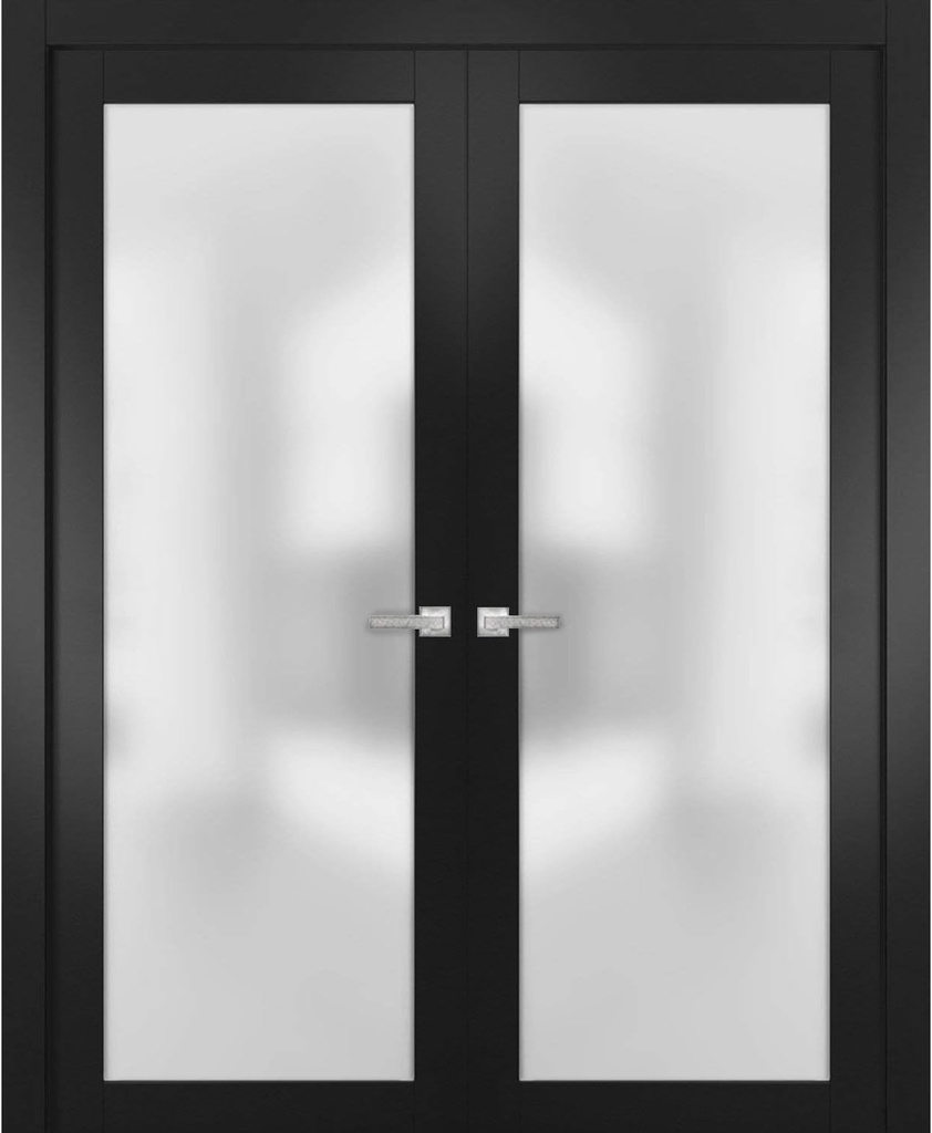 SARTODOORS Planum 2102 | Double Swing Interior French Doors with Glass with Frosted Glass, Solid Wood, Prehung, Hardware Included, 48x80, Black, Modern