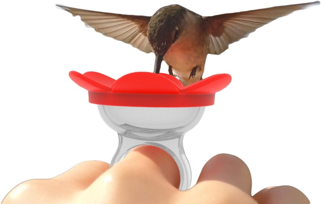 Hummingbird Ring Feeder (Red) - Hand Feed Hummingbirds Right in Your Backyard. Get up Close and Personal with Nature. Proudly Made in The U.S.A. - The Original