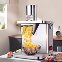250w Vegetable Chopper Dicer Shredder, Food Processor Fruit Cutting Machine, Commercial Vegetable Chopper Dicer Shredder for Hotel Restaurant +JuliennePlate
