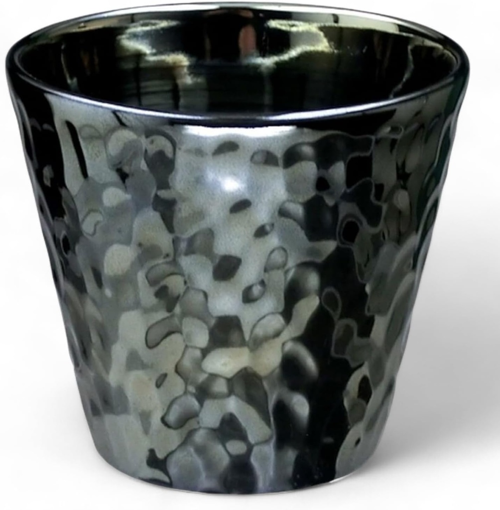 J-kitchens Select Whiskey Glass, Rock Cup, Light Changing, Black Raster, 10.1 fl oz (300 ml), Dishwasher Safe, Microwave Safe, Made in Japan