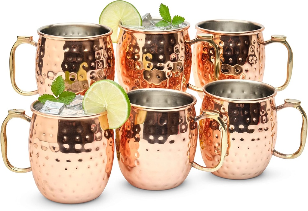 Moscow Mule Mugs Set of 6| Food Safe | High Grade Stainless Steel Mugs With Pure Copper Plating | Brass Handles With Thumb Rest |19 Oz | Large Size
