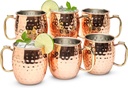 Moscow Mule Mugs Set of 6| Food Safe | High Grade Stainless Steel Mugs With Pure Copper Plating | Brass Handles With Thumb Rest |19 Oz | Large Size